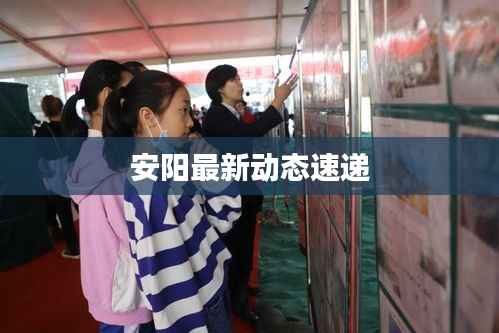 安阳最新动态速递