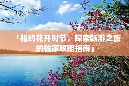「相约花开时节,探索畅游之旅的独家攻略指南」