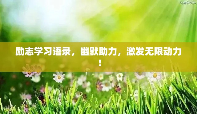 励志学习语录，幽默助力，激发无限动力！